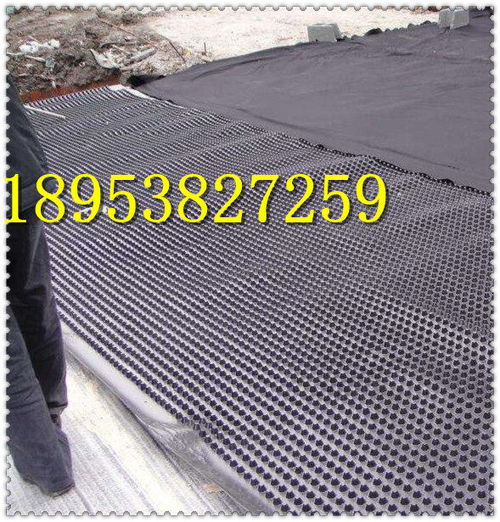 長春h25mm塑料排水卷材板現(xiàn)貨銷售昌都濾水板